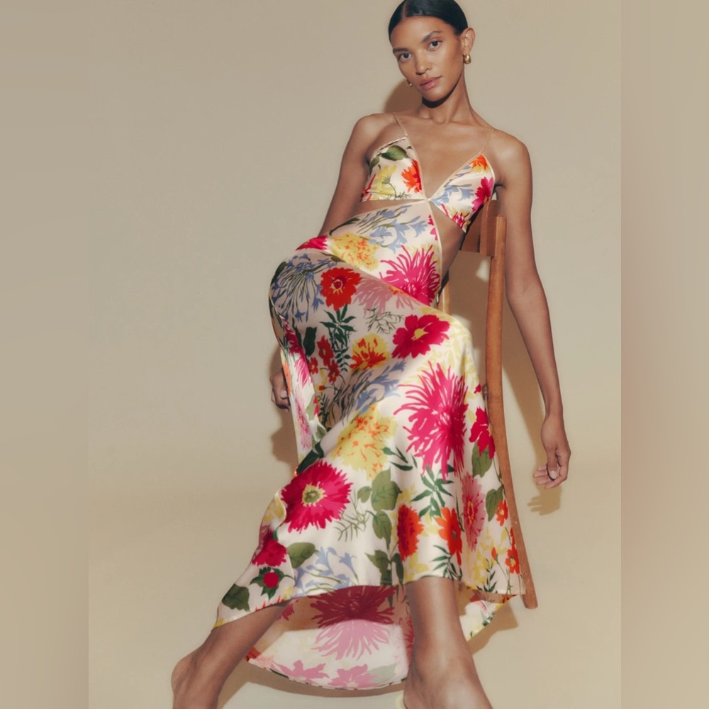 Poppies Silk Dress: Reformation